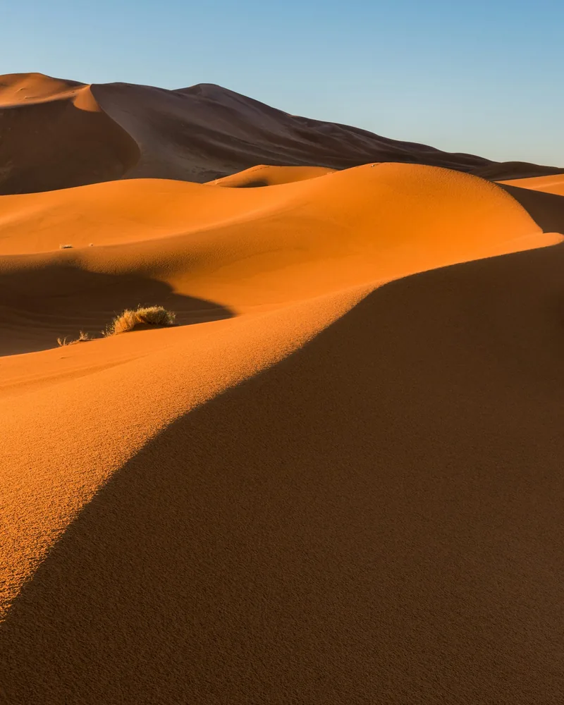 Dune dorate nel deserto di Merzouga.